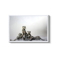 a group of animals sitting on top of a pile of rocks