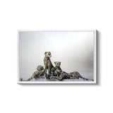 a group of animals sitting on top of a pile of rocks