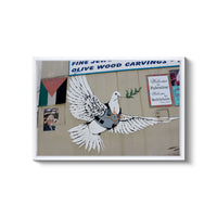a picture of a bird painted on the side of a building