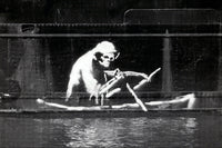 a black and white photo of a monkey in a boat