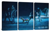 a group of three pictures of people and a dog