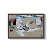 a picture of a bird painted on the side of a building