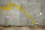 a cow standing in a parking lot next to a wall