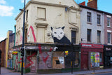 a building with a cat painted on the side of it