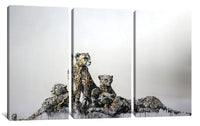 three paintings of lions on a white background
