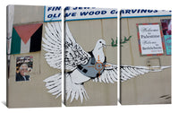 a picture of a pigeon painted on the side of a building