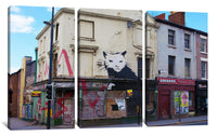 a series of three pictures of a building with a cat painted on it