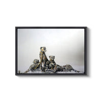 a picture of a group of animals sitting on top of each other