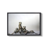 a picture of a group of animals sitting on top of each other
