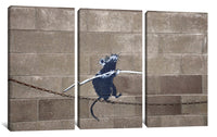 a picture of a rat on a wire on a wall